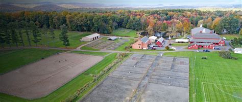 Summer Riding Experience - The Ethel Walker School