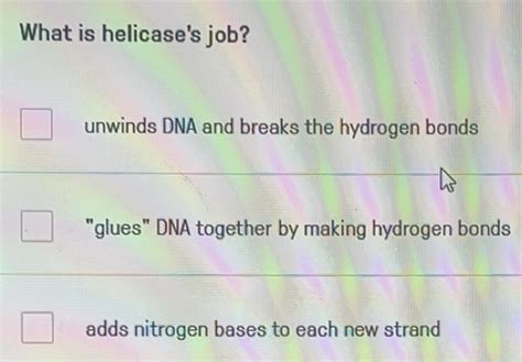 Solved: What is helicase's job? unwinds DNA and breaks the hydrogen ...