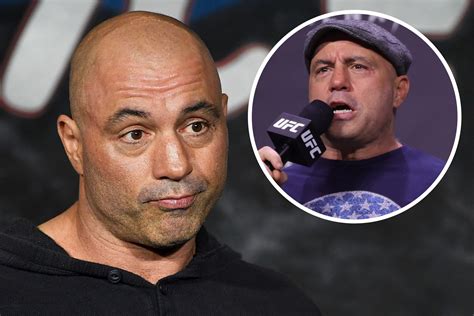 Joe Rogan's Dad Denies Domestic Violence Claims, Wants Reconciliation ...