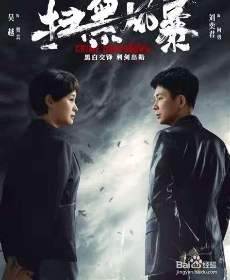 孙红雷主演的《扫黑风暴》什么时候上映？,,-百度经验