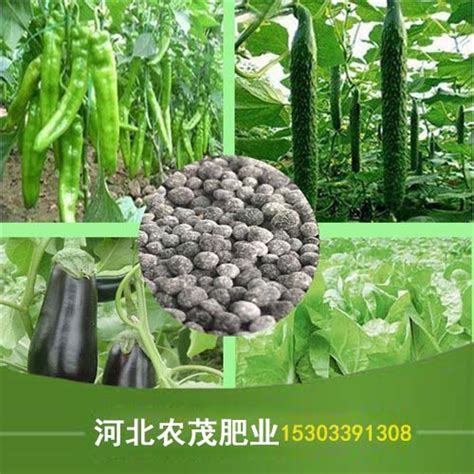 农家肥 的图像结果