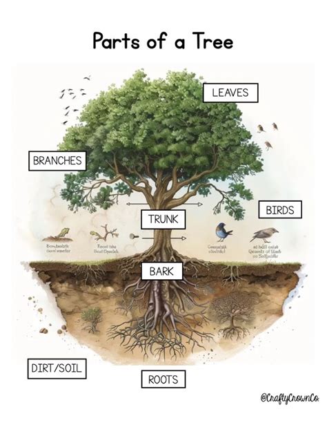 Image result for Tree Structure HTML/CSS