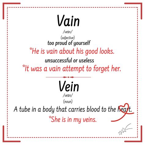 Vain vs Vein – Easy English by Vesna