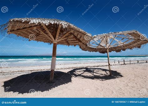 Large Wooden Umbrellas at Sandy Tropical Beach Stock Image - Image of ...