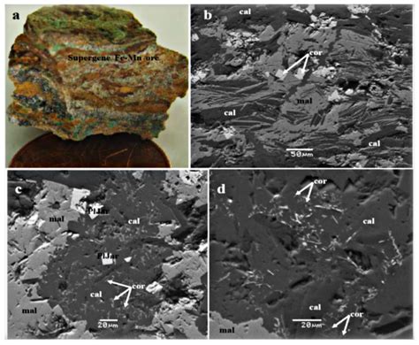 Bio-Geochemical Processes: Insights from Fe-Mn Mineralization in the ...