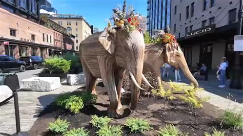 Art Images Of Elephants The Great Elephant Migration Arrives In New