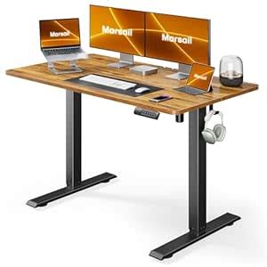 Marsail Electric Standing Desk with Sedentary Reminder, 48 * 24 Inch ...