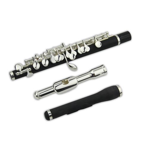Company Overview - Wuqiang County Tianzhiyin Musical Instrument Co., Ltd.