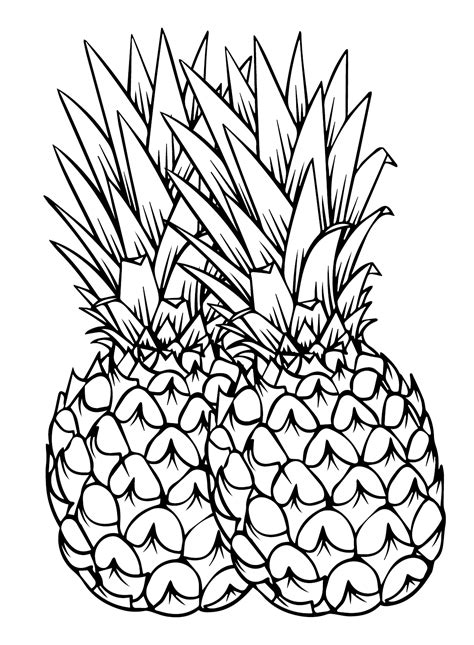 Pineapple Outline Coloring Pages Printable Kids Clipartmag Sketch ...