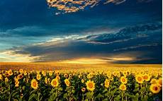 Ukraine Desktop Wallpapers by Ukraine Desktop Wallpaper Wallpapersafari Ukraine Desktop Wallpapers