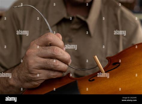 Image result for Latin Music Stringed Instruments