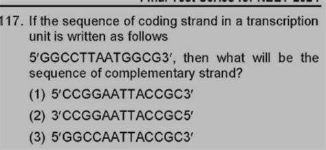Image result for Coding Strand Transcription