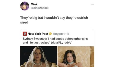 Funny Comment Sections 的图像结果