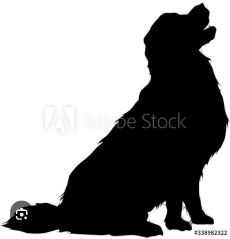 Pin by HIhi dílna HaZart on siluety | Golden retriever silhouette, Animal silhouette, Silhouette art - silhouette of golden retriever