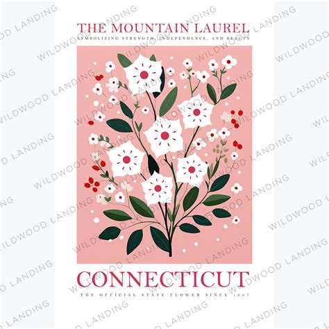 CONNECTICUT STATE FLOWER – Wildwood Landing LLC