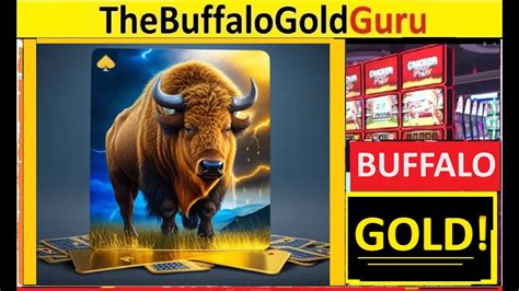 slotswinner freecash offers for loyal players