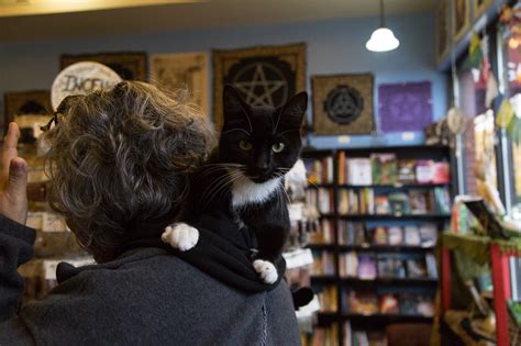 Alchemy Arts Occult Supply | Shopping in Edgewater, Chicago