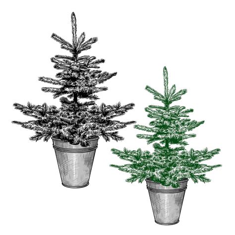 Simple little christmas tree in a galvanized bucket set of two images ...