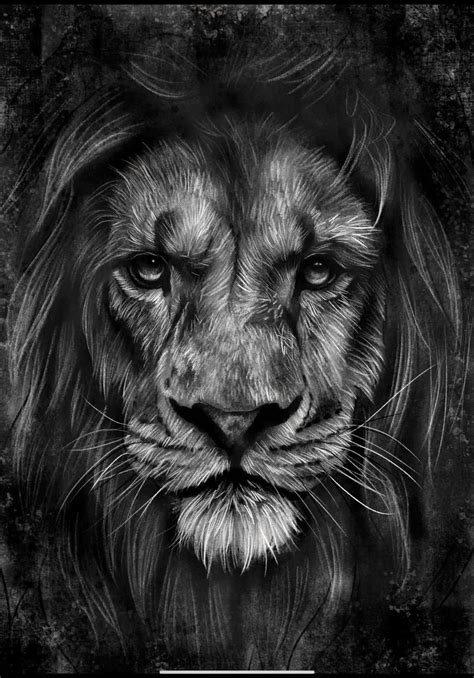 Download A Black And White Drawing Of A Lion | Wallpapers.com