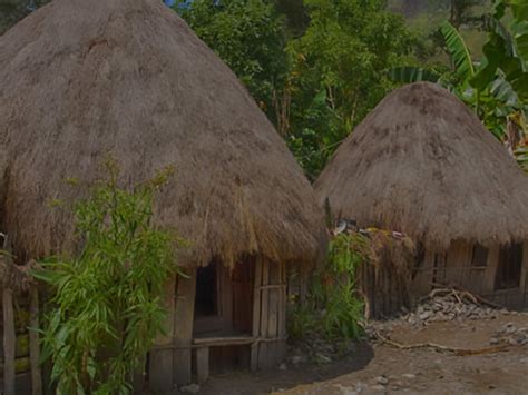 Sustainable vernacular architecture in Papua New Guinea | Meer