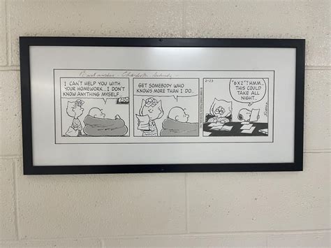 TJ Maxx alert : r/peanuts