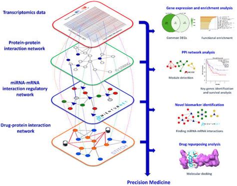 Multi-Level Biological Network Analysis and Drug Repurposing Based on ...