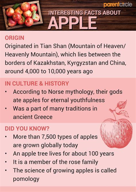 Apple Health Benefits, Apple Nutritional Values, Uses and Side Effects ...