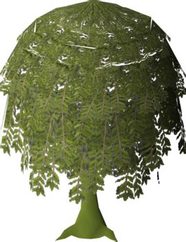 Willow Tree (Farming) - OSRS Wiki