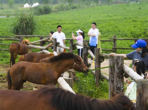 Photos Chine : tourisme sur l'île de Guangyang à Chongqing — Chine ...