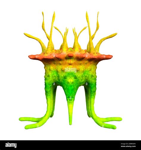 Image result for Alien Plant 3D Inseminate