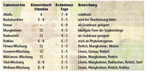 Lassen Sie es sprießen – im eigenen Sprossengarten auf der Fensterbank ...