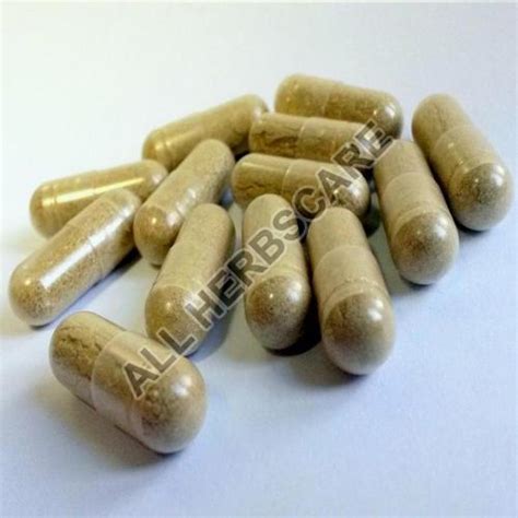 Fenugreek Tablets and Capsules Manufacturers and Suppliers from Ahmedabad
