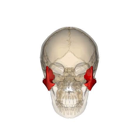 Image result for File Explorer Status Icons Meaning