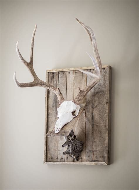 Art carved reproduction mule deer skull on a custom weathered wood wall ...