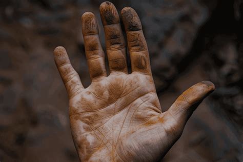 How Hard Work Changes Your Palm Lines | Palmyst