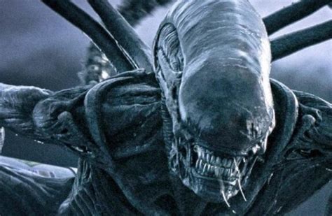 Image result for Alien Movie Remake