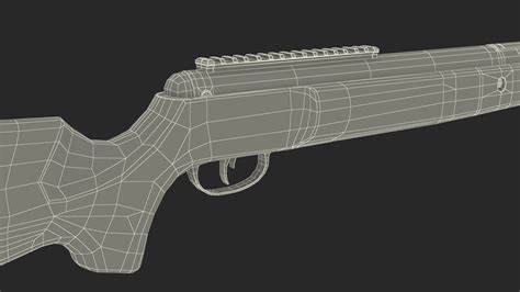 Crosman Air Rifle 3D | 3D Molier International