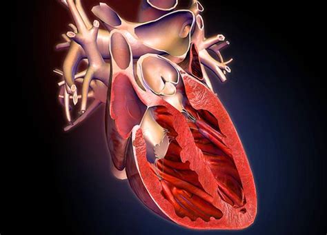 Image result for Heart with Name Using Python