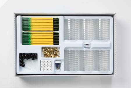 Biological Reproduction Model Kit 的图像结果