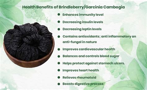 Raintech Herbals Organic Brindleberry (Garcinia Cambogia) - Pure, Dried ...