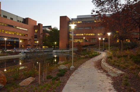 Library Pond – Facilities Management - UMBC