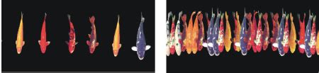Corel Painter Help | Adjusting the size and spacing of image hose elements