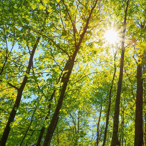 At Vickers, our commitment to environmental responsibility drives us to explore new ...