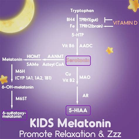 NEVISS Kids Melatonin 2mg - Fast Dissolve & Chewable India | Ubuy