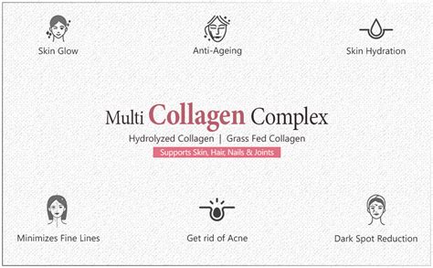 Vokin Biotech Multi Collagen Complex Peptide with all 5 Types I, II ...