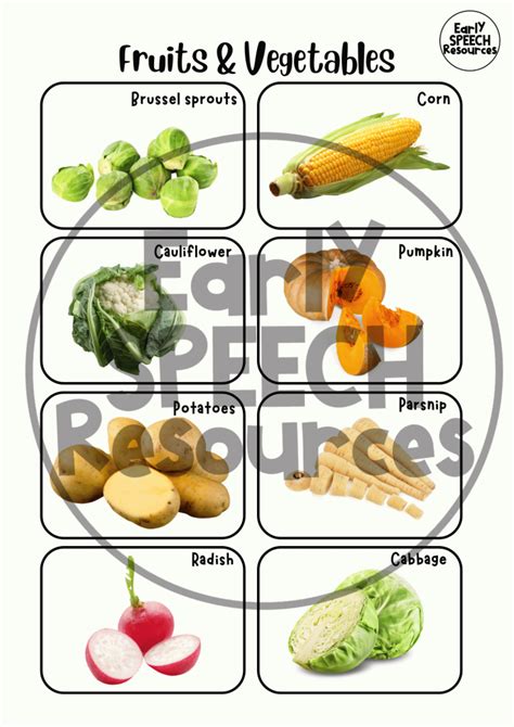 Food Flashcard 的图像结果