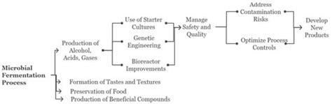 Microbial Fermentation in Food and Beverage Industries: Innovations ...
