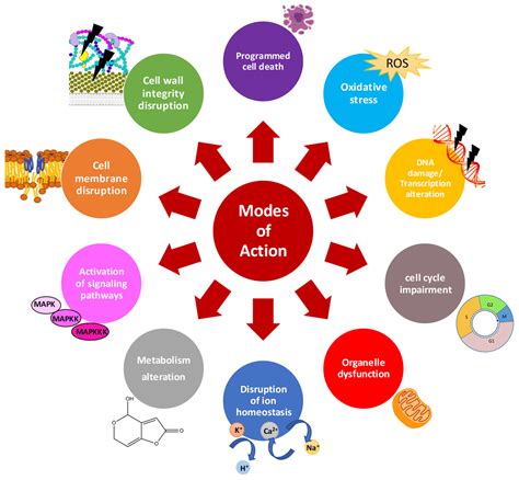 Antifungal Peptides and Proteins to Control Toxigenic Fungi and ...