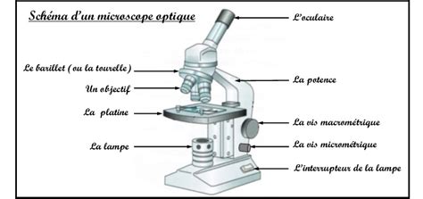 Image result for Microscope Schema Optique