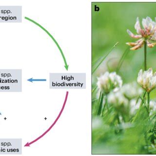 Alien Genes 的图像结果